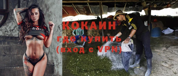твердый Елизово